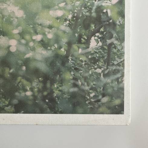 Photobooks
