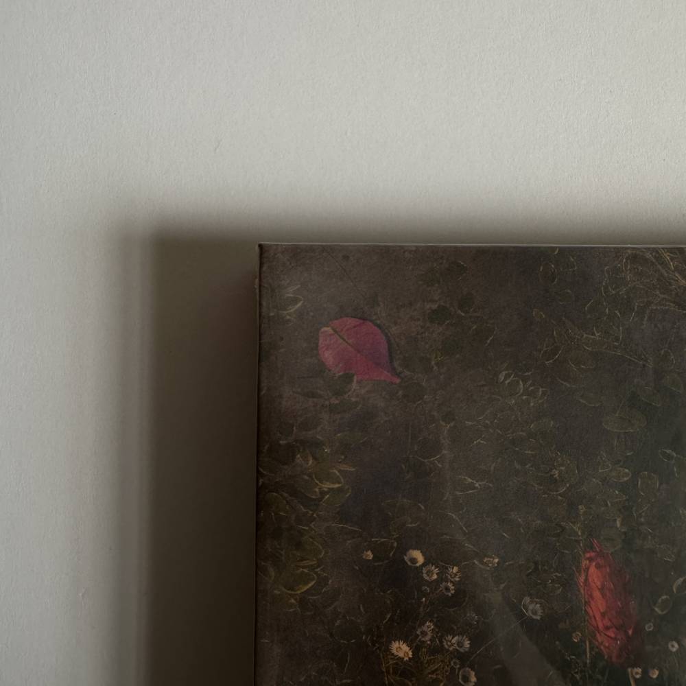 Photobooks