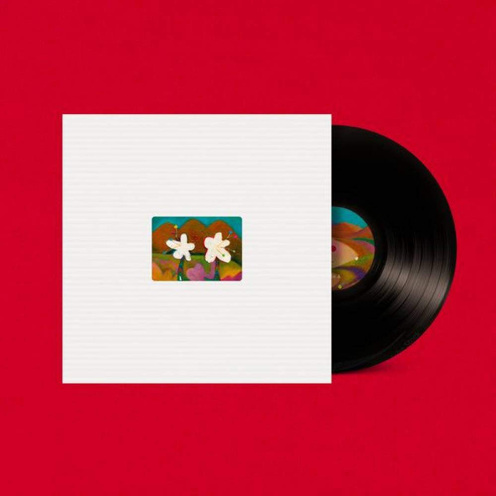 Vinyls
