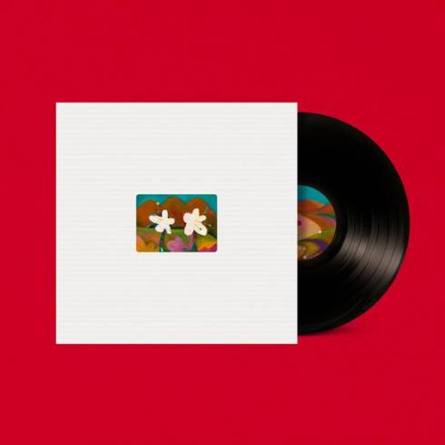 [PRE-ORDER] AKMU
4TH STUDIO ALBUM 'BLOSSOM / FLOWERING / 개화' VINYL LP