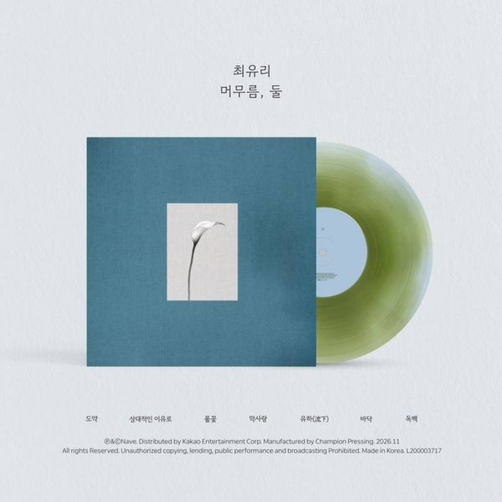 Vinyls