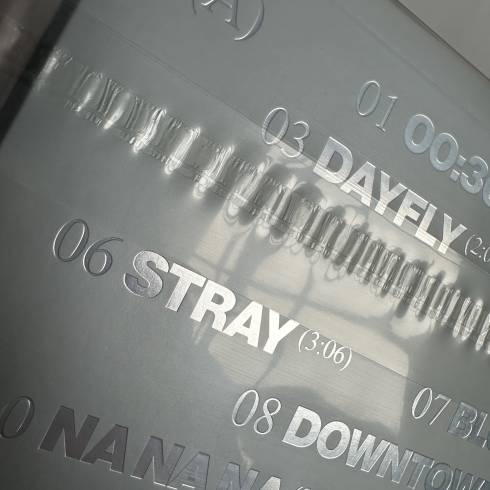 Vinyls