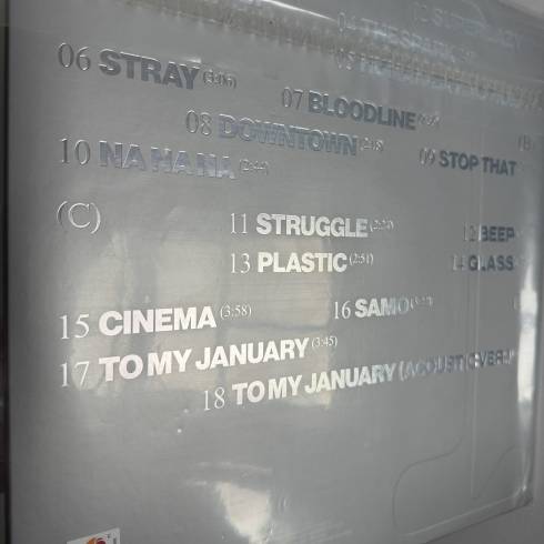 Vinyls