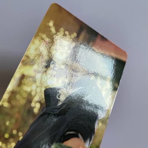 Photocards