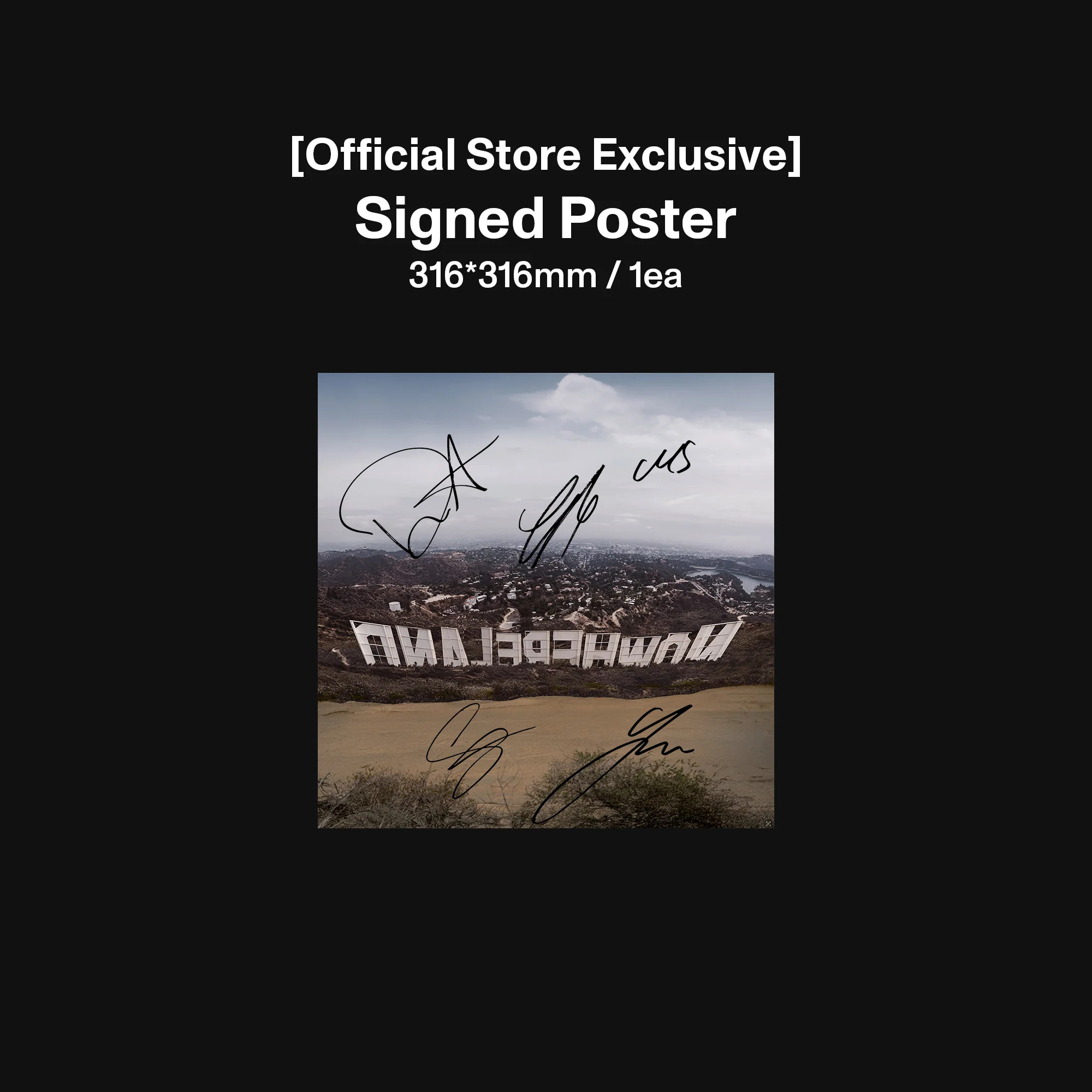 02Vinyl_Wild_StandardSigned_1x1_SignedPoster